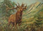 ������� �� trophy_hunter1