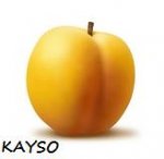 ������� �� Kayso