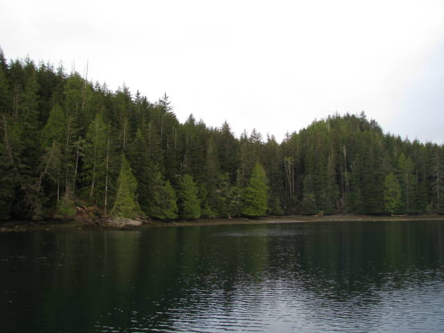 Натиснете снимката за да я уголемите
Име:019556785.jpg
Прегледи:1
Размер:39.6 КБ
ID:5197268