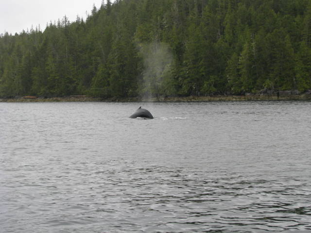 Натиснете снимката за да я уголемите
Име:019556792.jpg
Прегледи:1
Размер:50.7 КБ
ID:5197275