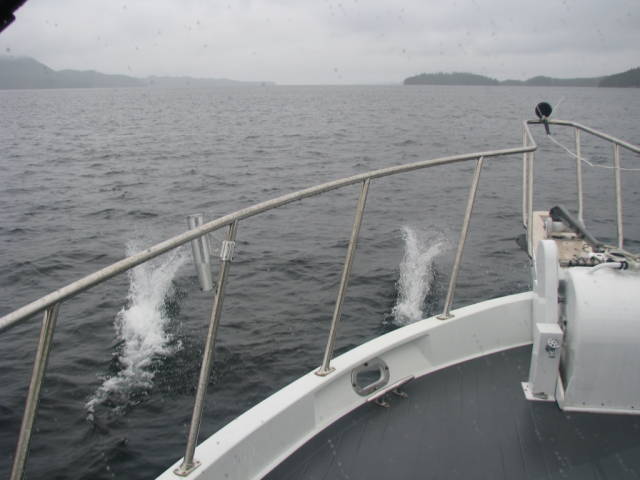 Натиснете снимката за да я уголемите
Име:019556815.jpg
Прегледи:1
Размер:40.4 КБ
ID:5197279