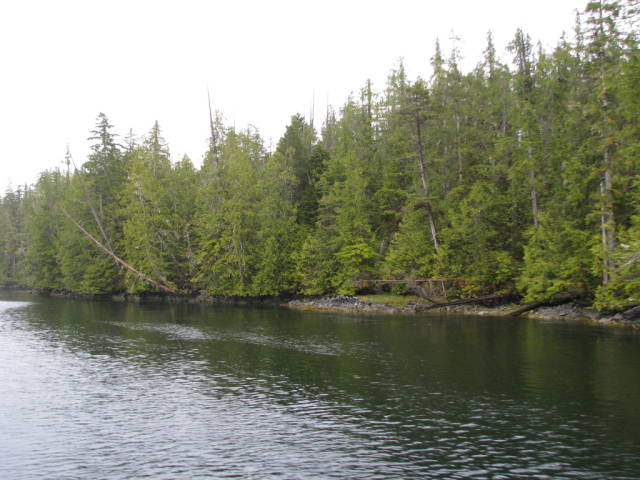 Натиснете снимката за да я уголемите
Име:019556828.jpg
Прегледи:1
Размер:58.8 КБ
ID:5197283