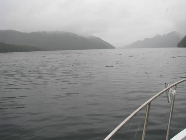 Натиснете снимката за да я уголемите
Име:019556838.jpg
Прегледи:1
Размер:27.1 КБ
ID:5197287