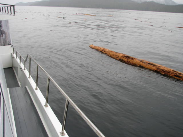 Натиснете снимката за да я уголемите
Име:019556847.jpg
Прегледи:1
Размер:42.4 КБ
ID:5197290