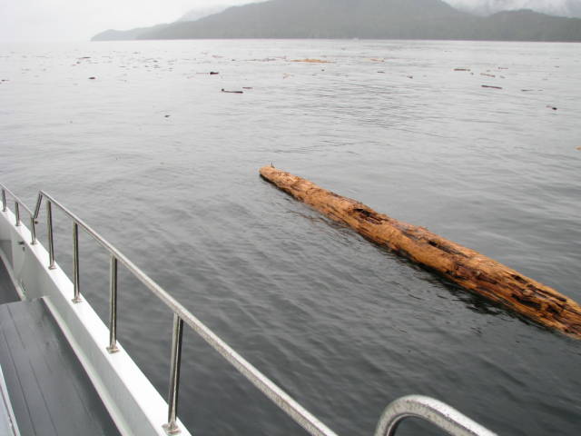 Натиснете снимката за да я уголемите
Име:019556849.jpg
Прегледи:1
Размер:41.3 КБ
ID:5197291