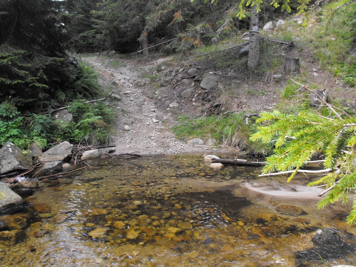 Натиснете снимката за да я уголемите
Име:Picture 287.jpg
Прегледи:1
Размер:224.0 КБ
ID:5203811