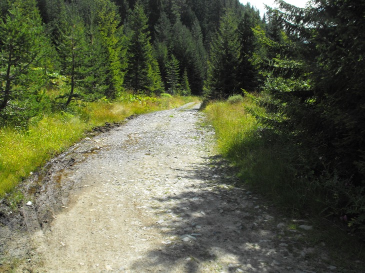 Натиснете снимката за да я уголемите
Име:Picture 296.jpg
Прегледи:1
Размер:171.0 КБ
ID:5203813