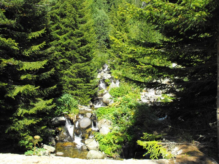 Натиснете снимката за да я уголемите
Име:Picture 295.jpg
Прегледи:1
Размер:169.7 КБ
ID:5203814