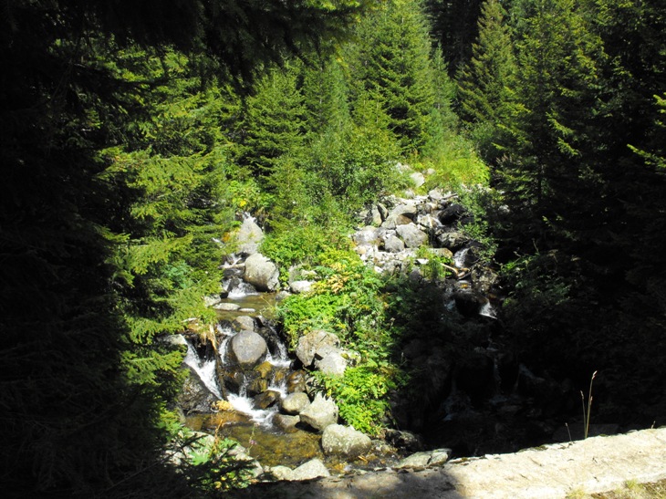 Натиснете снимката за да я уголемите
Име:Picture 292.jpg
Прегледи:1
Размер:187.9 КБ
ID:5203815