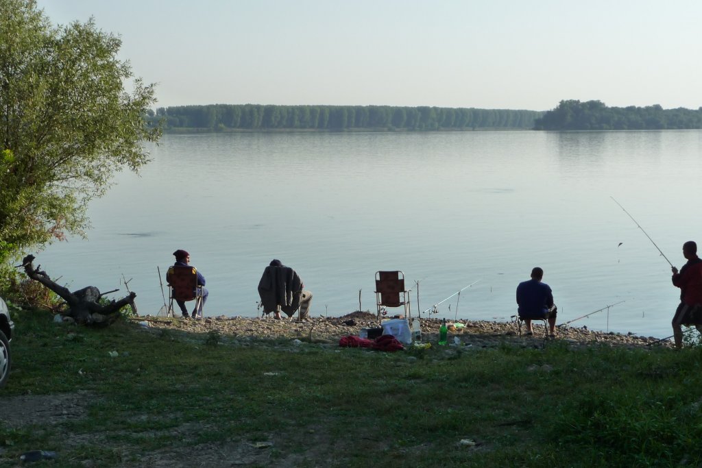 Натиснете снимката за да я уголемите
Име:P1000681.jpg
Прегледи:1
Размер:112.3 КБ
ID:5204686