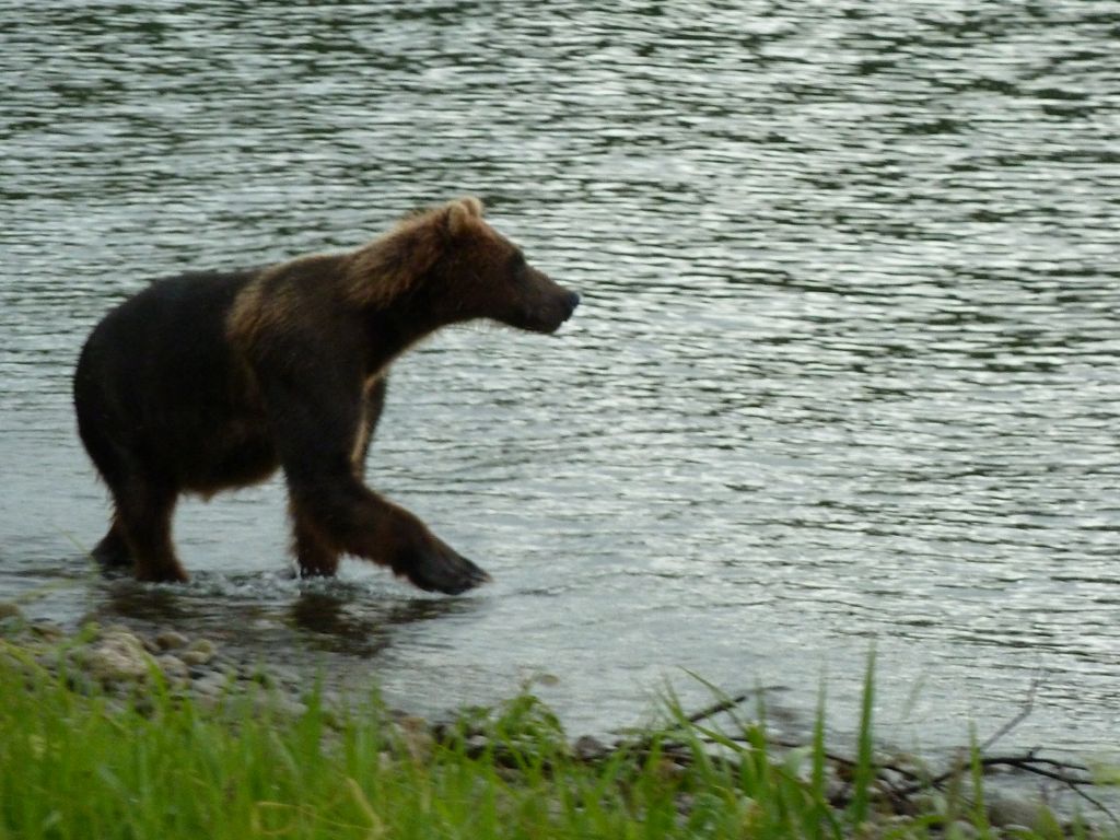 Натиснете снимката за да я уголемите
Име:P1000448.JPG
Прегледи:1
Размер:159.7 КБ
ID:5212278