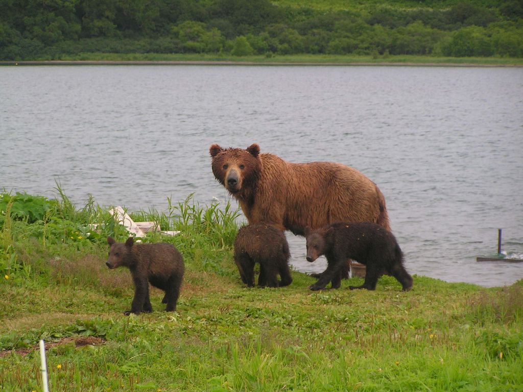 Натиснете снимката за да я уголемите
Име:PICT0521.JPG
Прегледи:1
Размер:149.2 КБ
ID:5212279