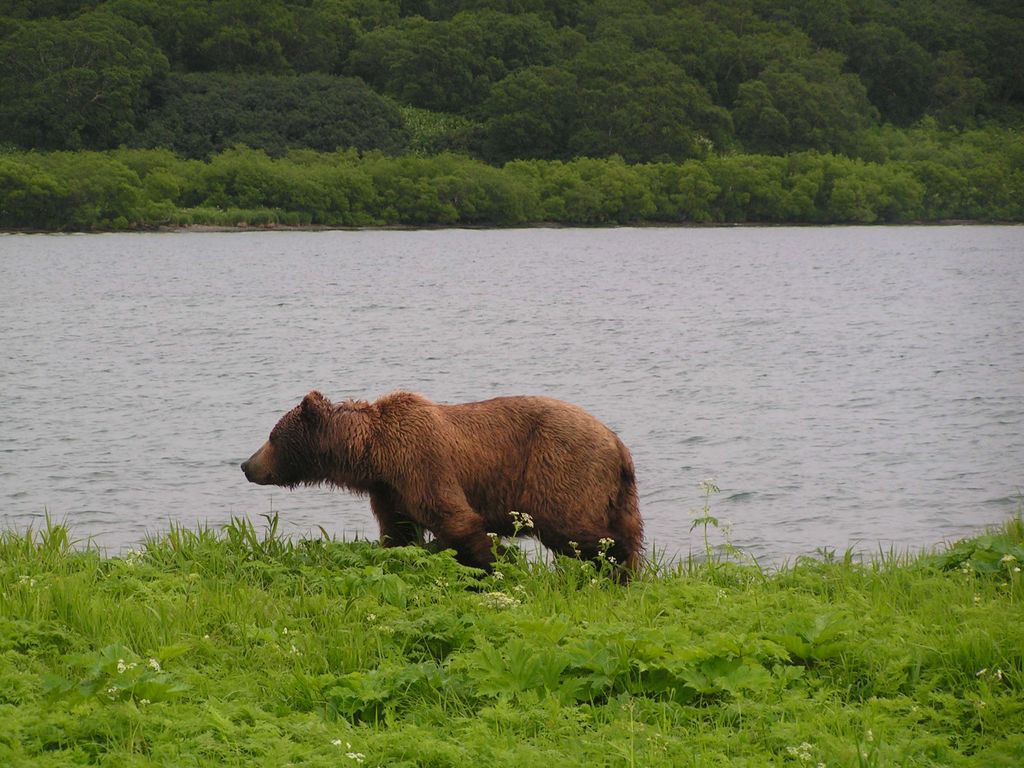 Натиснете снимката за да я уголемите
Име:PICT0516.JPG
Прегледи:1
Размер:157.5 КБ
ID:5212282