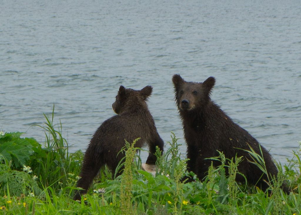 Натиснете снимката за да я уголемите
Име:kam_100801_162.jpg
Прегледи:1
Размер:148.0 КБ
ID:5212284