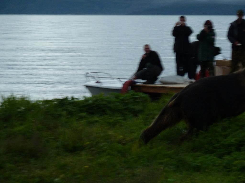 Натиснете снимката за да я уголемите
Име:P1000449.JPG
Прегледи:1
Размер:83.4 КБ
ID:5212285