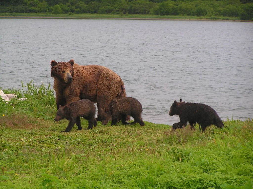 Натиснете снимката за да я уголемите
Име:PICT0520.JPG
Прегледи:1
Размер:166.6 КБ
ID:5212290