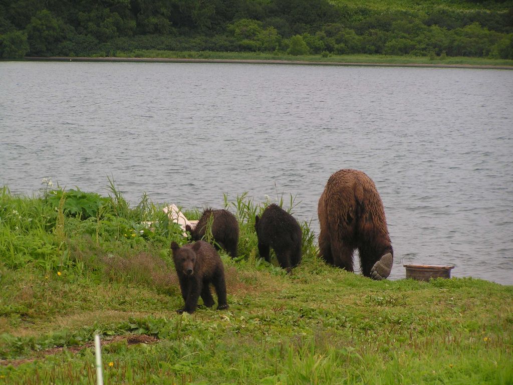 Натиснете снимката за да я уголемите
Име:PICT0524.JPG
Прегледи:1
Размер:169.2 КБ
ID:5212291