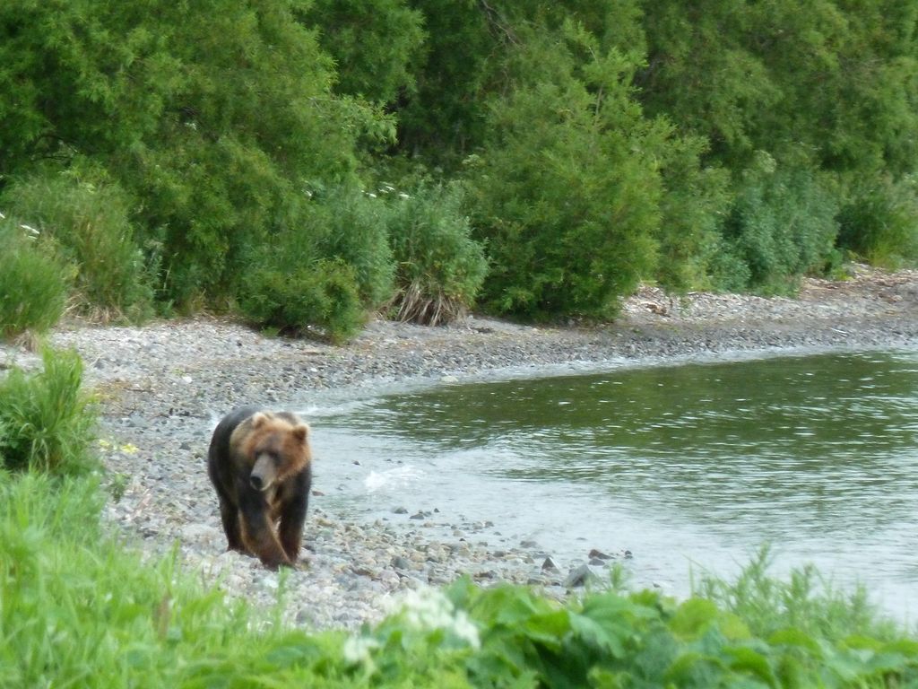 Натиснете снимката за да я уголемите
Име:P1000446.JPG
Прегледи:1
Размер:174.7 КБ
ID:5212292