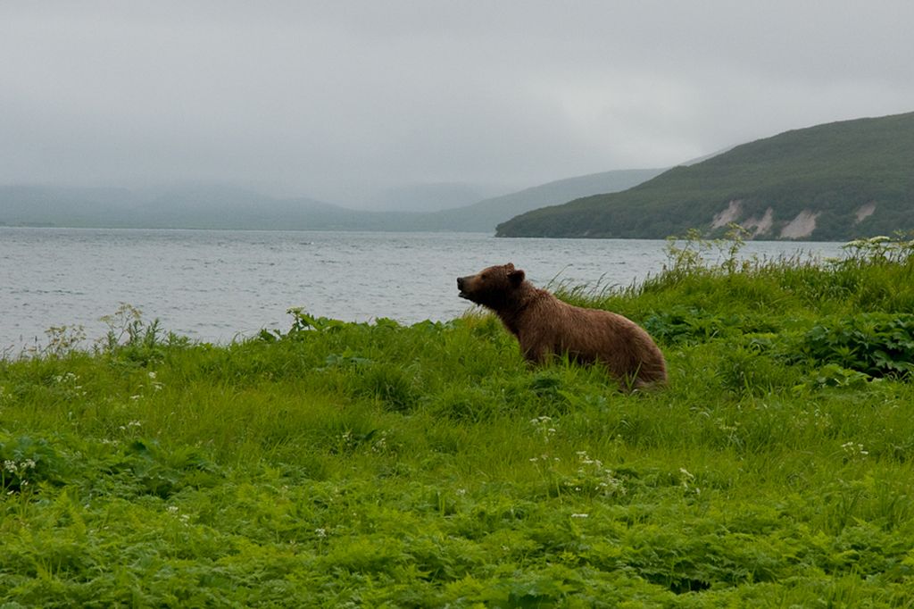Натиснете снимката за да я уголемите
Име:DSC04828.jpg
Прегледи:1
Размер:129.9 КБ
ID:5212293