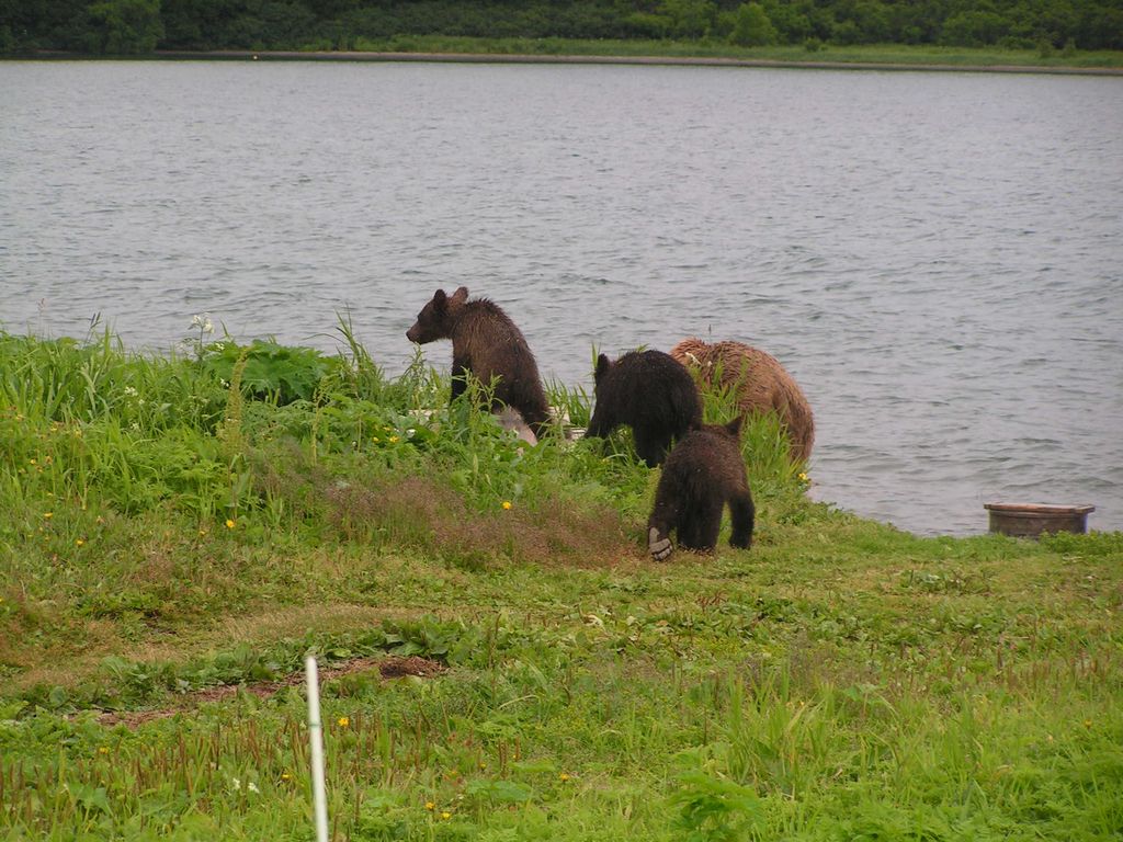 Натиснете снимката за да я уголемите
Име:PICT0526.JPG
Прегледи:1
Размер:176.0 КБ
ID:5212294