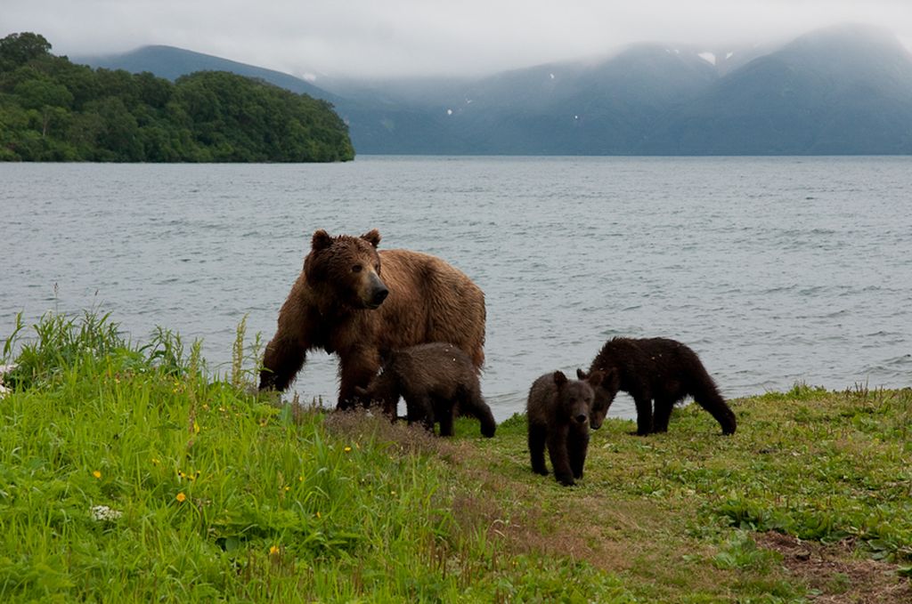 Натиснете снимката за да я уголемите
Име:DSC04843.jpg
Прегледи:1
Размер:150.4 КБ
ID:5212297