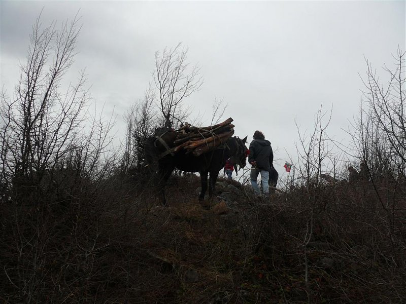Натиснете снимката за да я уголемите
Име:P1110835 (Large).JPG
Прегледи:1
Размер:120.2 КБ
ID:5914562