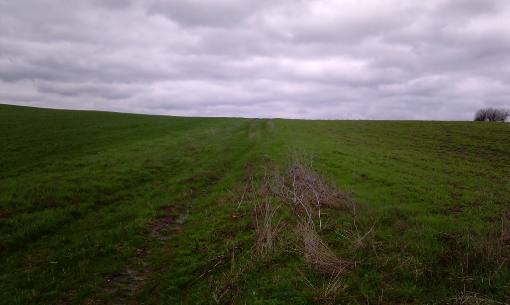 Натиснете снимката за да я уголемите
Име:IMAG0468.jpg
Прегледи:1
Размер:104.1 КБ
ID:5924134