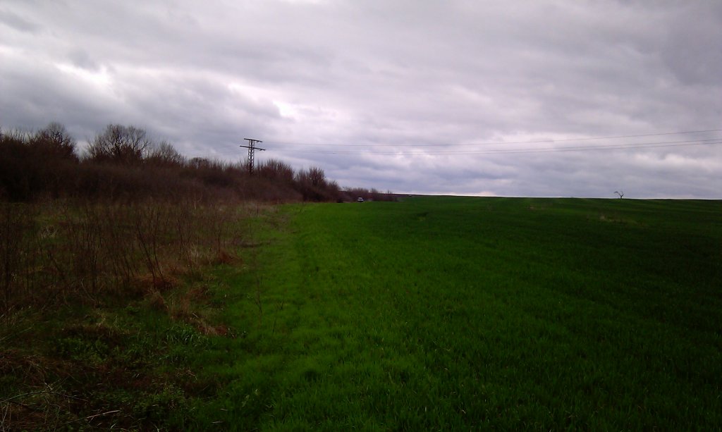 Натиснете снимката за да я уголемите
Име:IMAG0471.jpg
Прегледи:1
Размер:78.4 КБ
ID:5924136