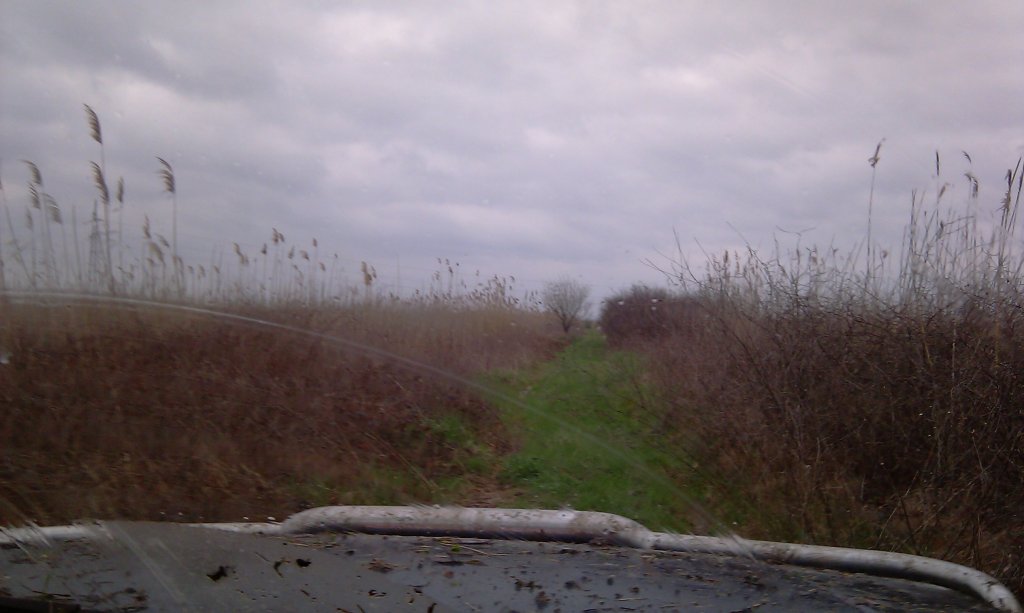 Натиснете снимката за да я уголемите
Име:IMAG0491.jpg
Прегледи:1
Размер:76.3 КБ
ID:5924144