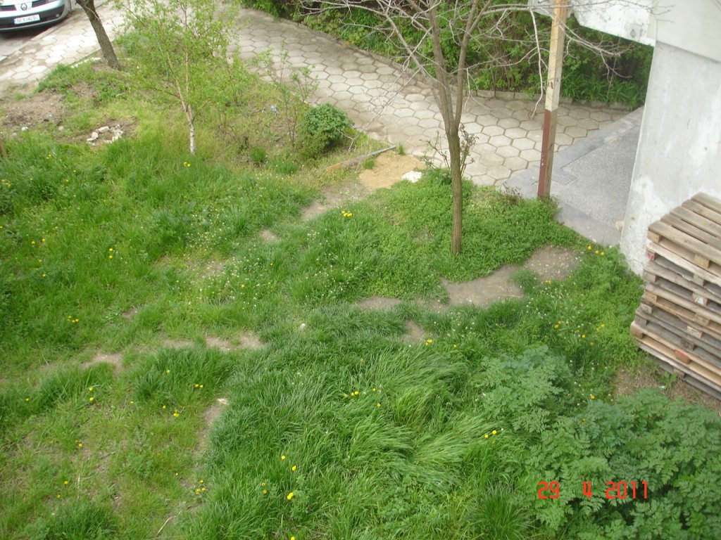 Натиснете снимката за да я уголемите
Име:DSC00004.jpg
Прегледи:1
Размер:218.1 КБ
ID:5929177