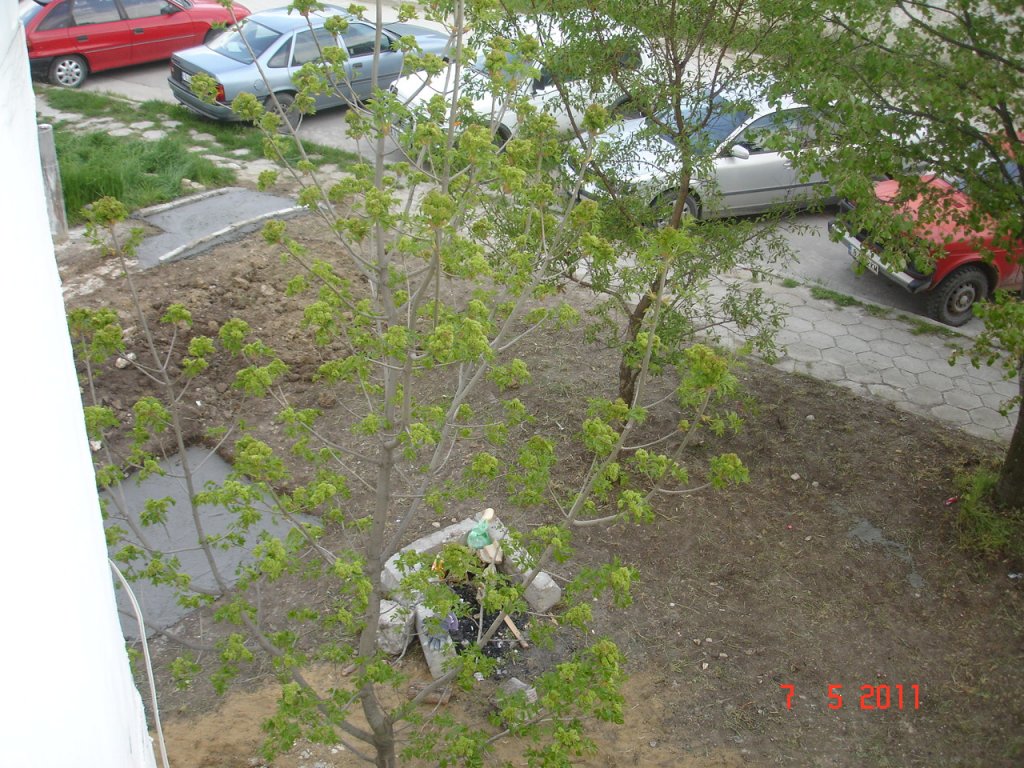 Натиснете снимката за да я уголемите
Име:DSC00047.jpg
Прегледи:1
Размер:222.2 КБ
ID:5929178