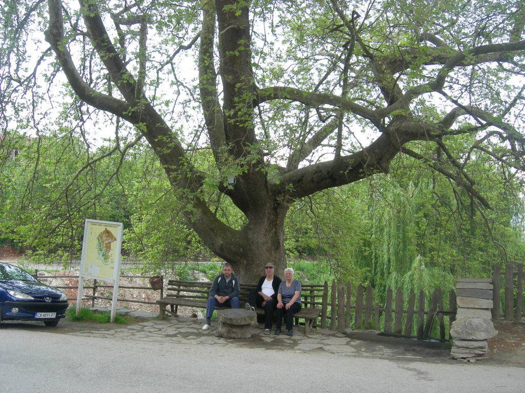 Натиснете снимката за да я уголемите
Име:leka razhodka.. 016.jpg
Прегледи:1
Размер:269.1 КБ
ID:5933864
