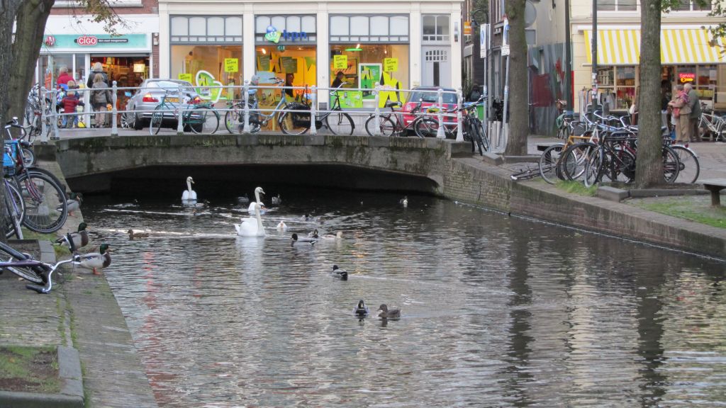 Натиснете снимката за да я уголемите
Име:IMG_1611.jpg
Прегледи:1
Размер:151.9 КБ
ID:5944146