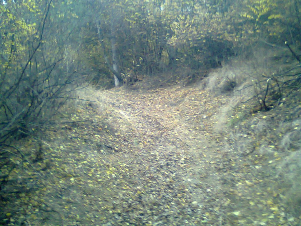 Натиснете снимката за да я уголемите
Име:photo0285.jpg
Прегледи:1
Размер:197.2 КБ
ID:5968298