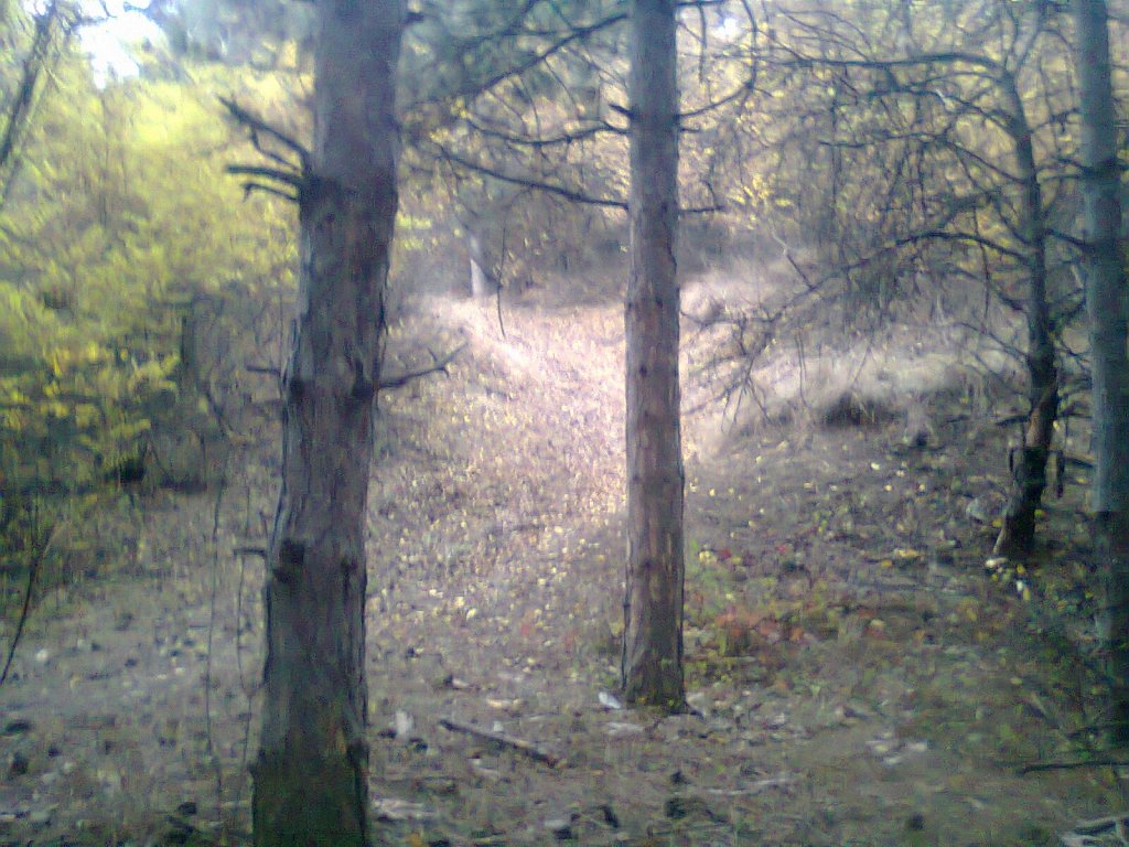 Натиснете снимката за да я уголемите
Име:photo0288.jpg
Прегледи:1
Размер:182.6 КБ
ID:5968299