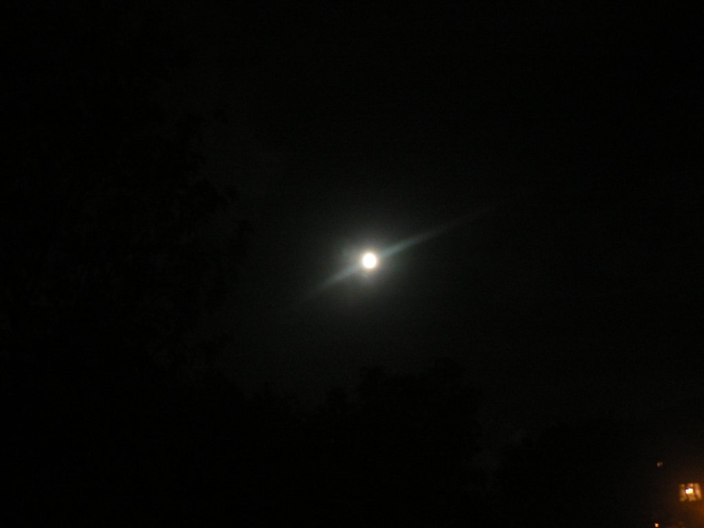 Натиснете снимката за да я уголемите
Име:P1090771.jpg
Прегледи:1
Размер:35.7 КБ
ID:5371698