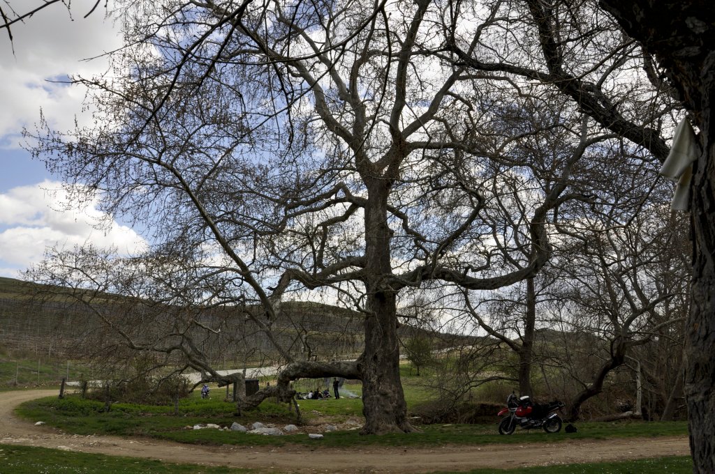 Натиснете снимката за да я уголемите
Име:_DSC0601.jpg
Прегледи:1
Размер:270.8 КБ
ID:5972306