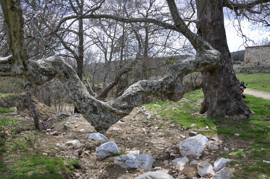 Натиснете снимката за да я уголемите
Име:_DSC0603.jpg
Прегледи:1
Размер:277.0 КБ
ID:5972312