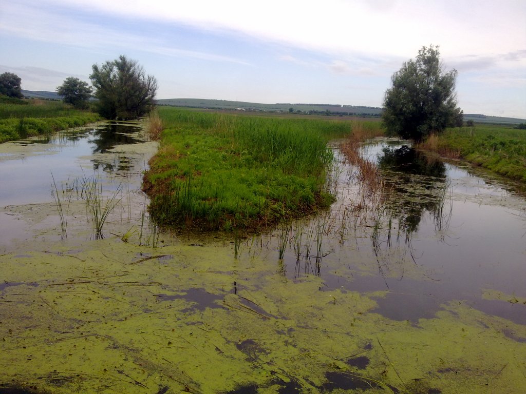 Натиснете снимката за да я уголемите
Име:19052012154.jpg
Прегледи:2
Размер:157.8 КБ
ID:5998339
