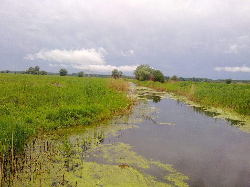 Натиснете снимката за да я уголемите
Име:19052012155.jpg
Прегледи:2
Размер:133.9 КБ
ID:5998340