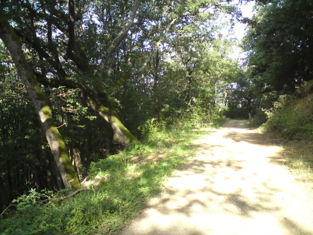 Натиснете снимката за да я уголемите
Име:DSC01200.jpg
Прегледи:1
Размер:239.6 КБ
ID:5976532