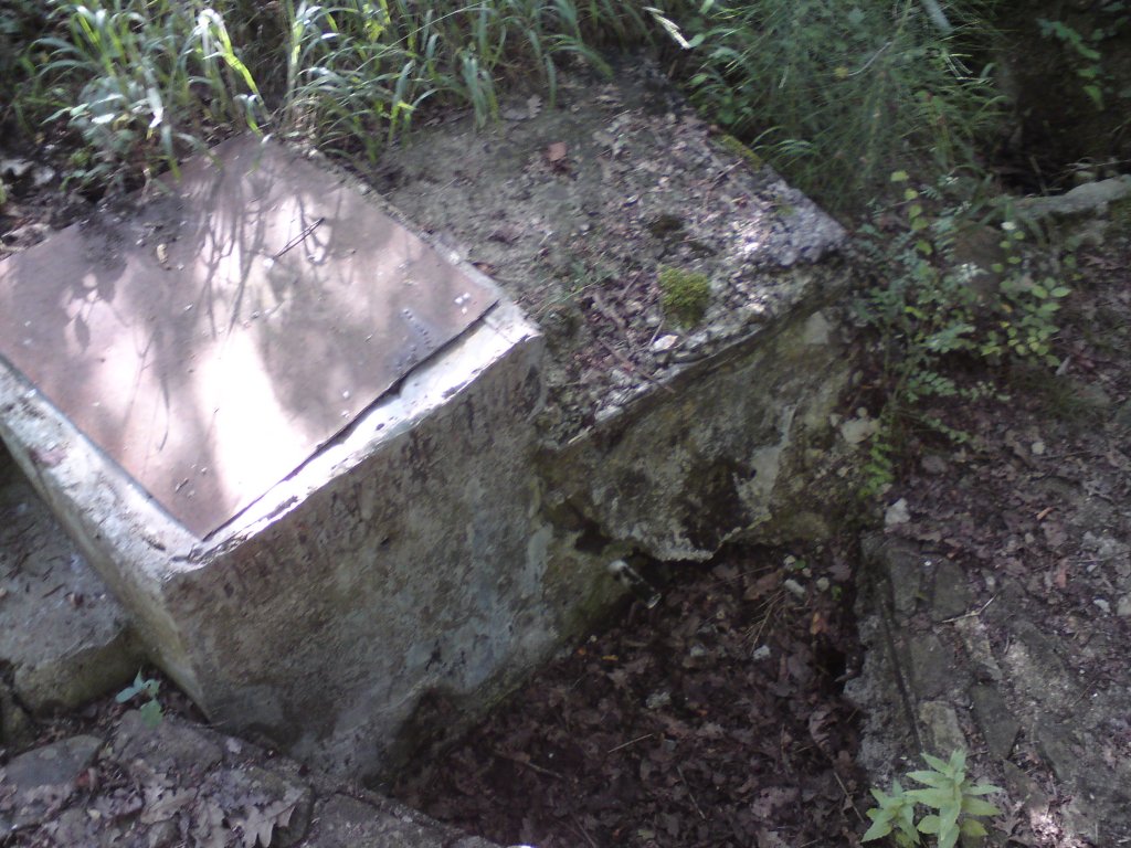 Натиснете снимката за да я уголемите
Име:DSC01202.jpg
Прегледи:1
Размер:174.3 КБ
ID:5976534