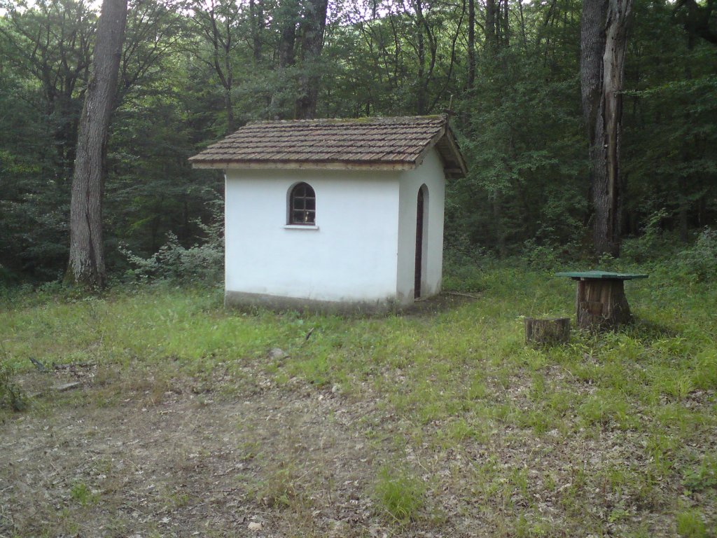 Натиснете снимката за да я уголемите
Име:DSC01209.jpg
Прегледи:1
Размер:211.3 КБ
ID:5976541