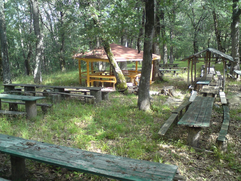 Натиснете снимката за да я уголемите
Име:DSC01215.jpg
Прегледи:1
Размер:302.5 КБ
ID:5976545