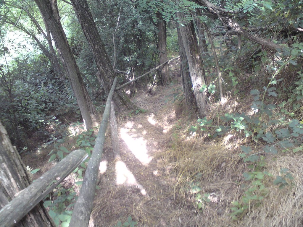 Натиснете снимката за да я уголемите
Име:DSC01217.jpg
Прегледи:1
Размер:245.5 КБ
ID:5976547