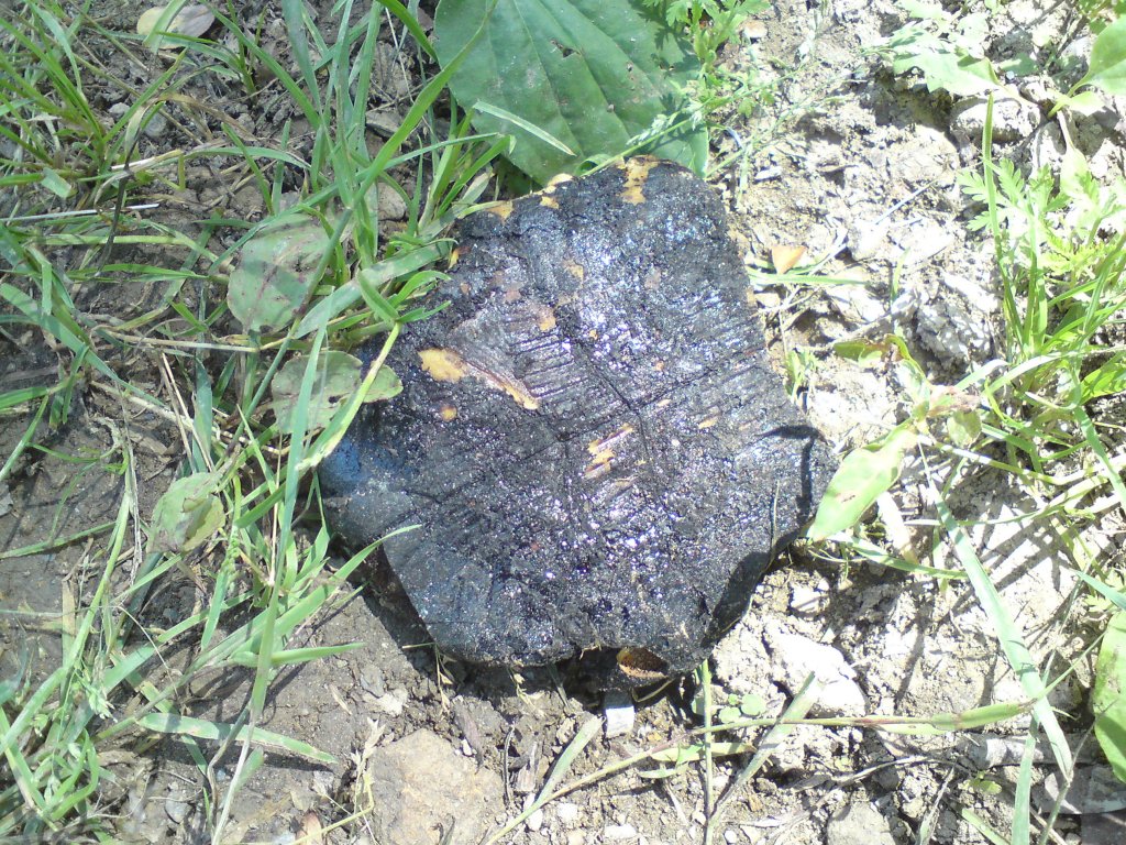 Натиснете снимката за да я уголемите
Име:DSC01227.jpg
Прегледи:1
Размер:318.3 КБ
ID:5976556