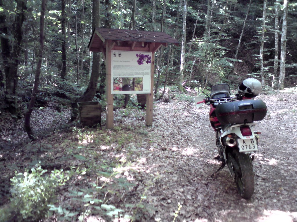 Натиснете снимката за да я уголемите
Име:DSC01230.jpg
Прегледи:1
Размер:232.7 КБ
ID:5976559