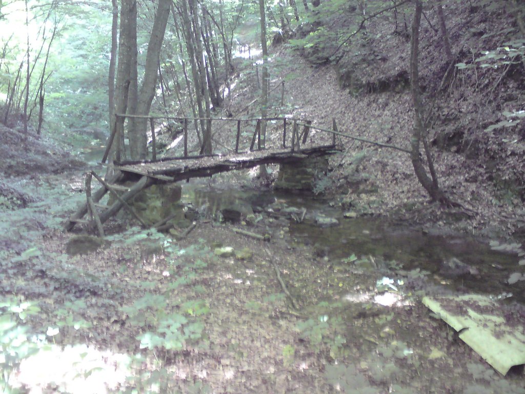 Натиснете снимката за да я уголемите
Име:DSC01231.jpg
Прегледи:1
Размер:195.9 КБ
ID:5976560