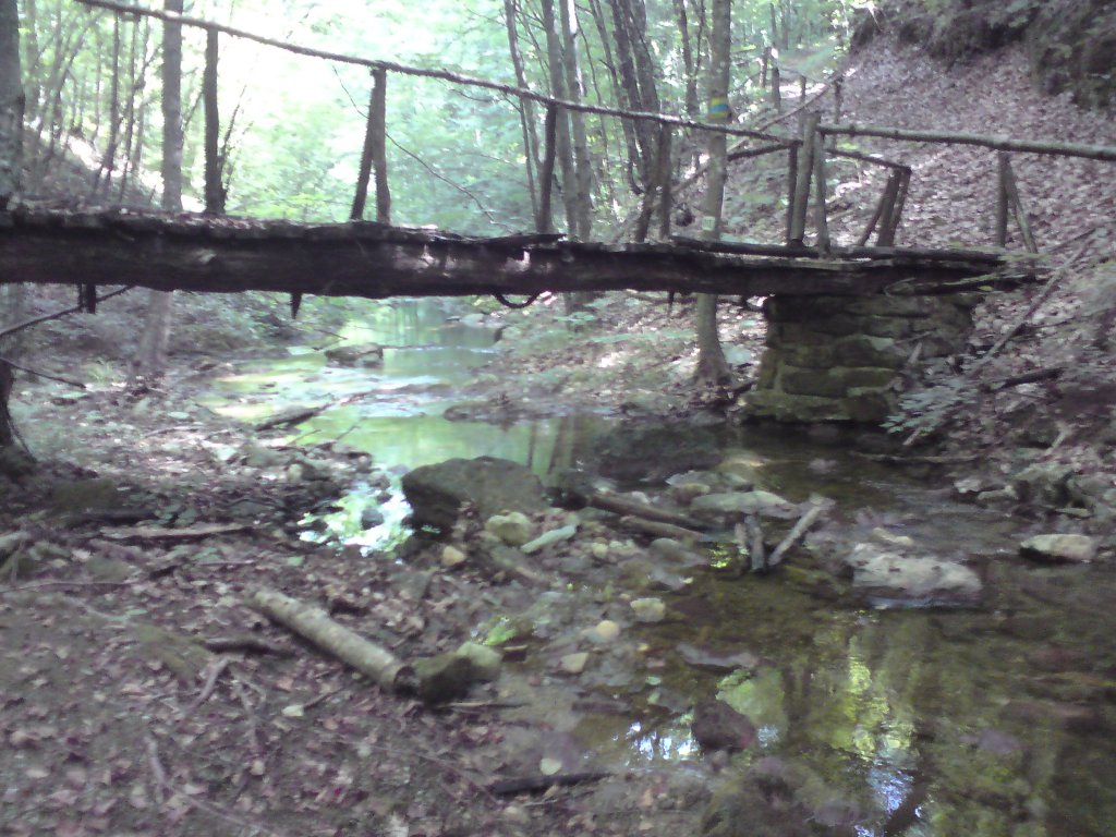 Натиснете снимката за да я уголемите
Име:DSC01232.jpg
Прегледи:1
Размер:179.7 КБ
ID:5976561