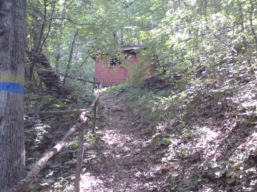 Натиснете снимката за да я уголемите
Име:DSC01233.jpg
Прегледи:1
Размер:281.1 КБ
ID:5976562